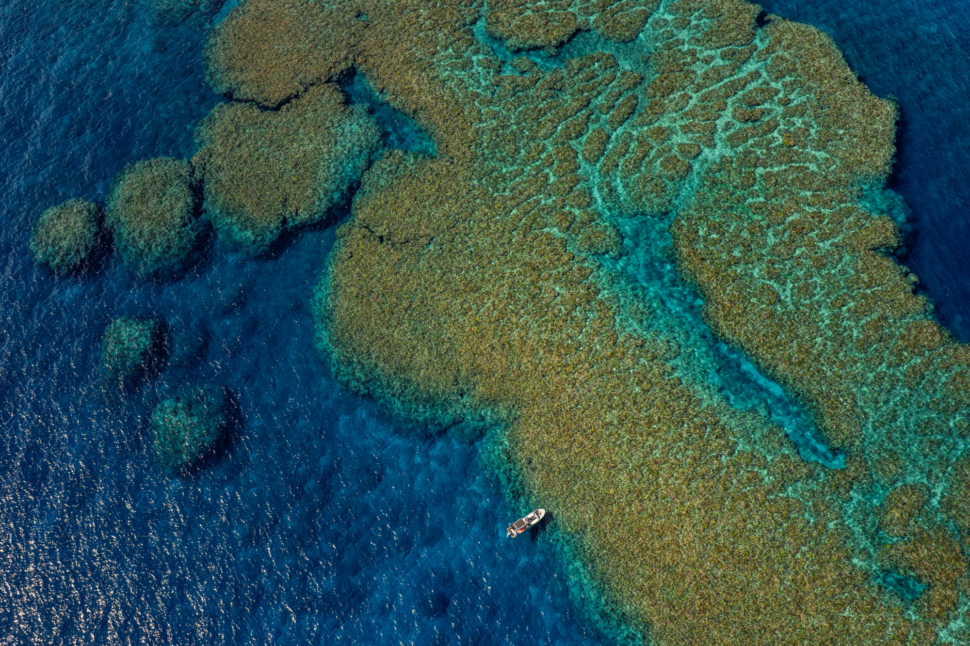 Papageno Resort Background